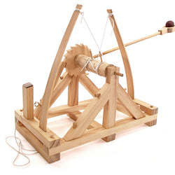 Working Wooden Catapult