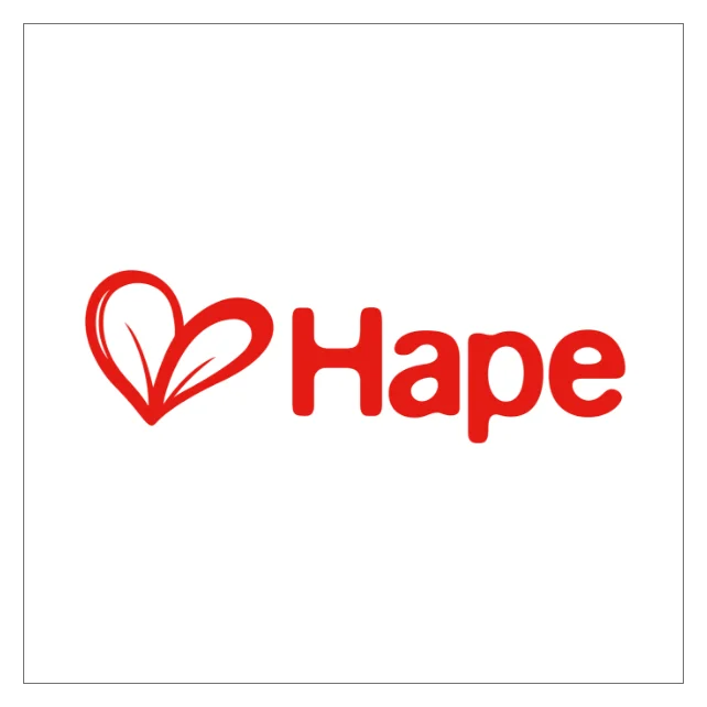 Hape Toys