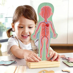 Hape Magnetic Human Body Wooden Puzzle