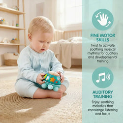 Twist & Tune Turtle Hape