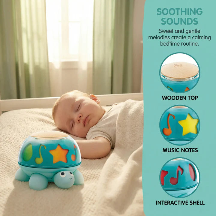 Twist & Tune Turtle Hape