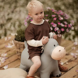 Holger The Hippo – Bouncing Animal Toy for Active Play