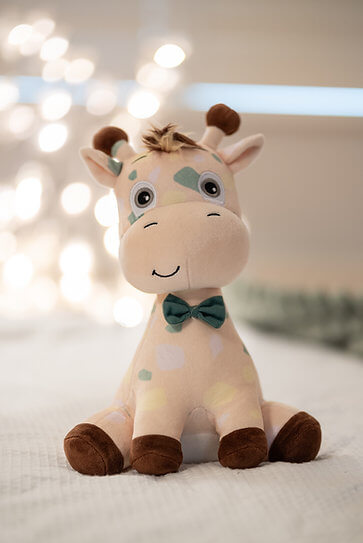 Different is Magic – Jimbow’s Journey Book & Plush Set by Snugz