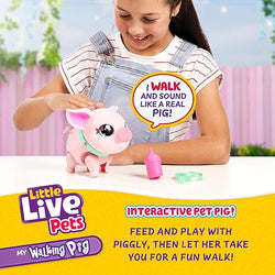 Little Live Pets - My Pet Pig - Piggly