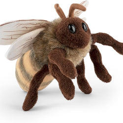 Living Nature European Honey Bee