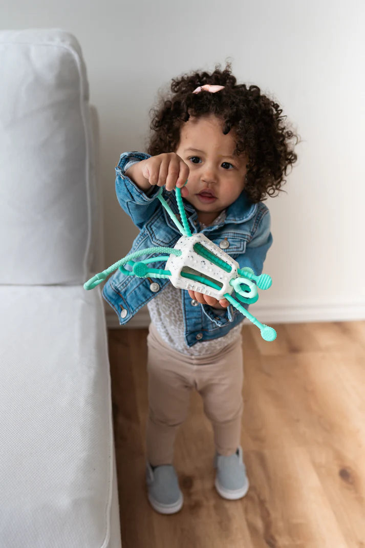 Zippee Activity Pull Toy