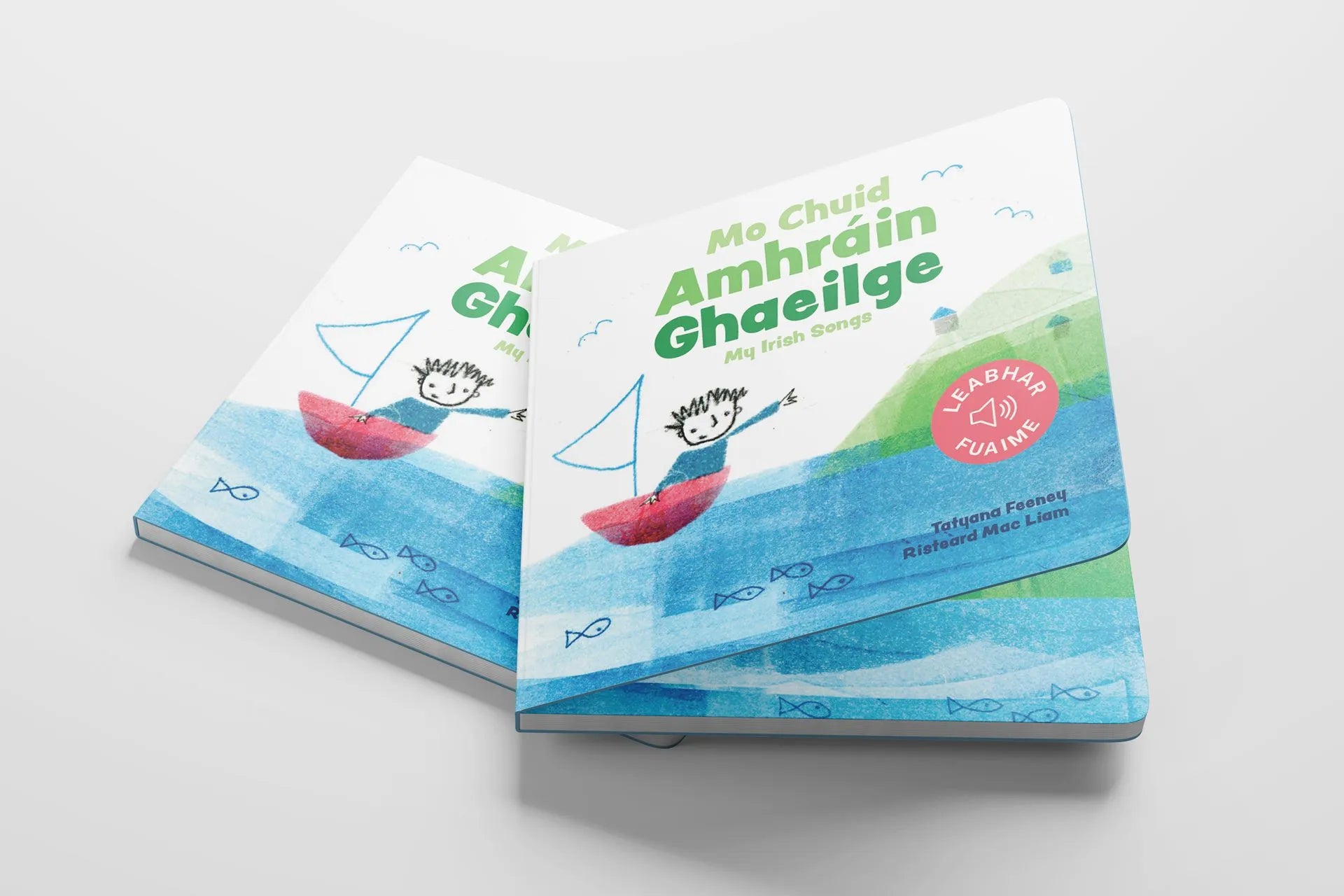 My Irish Books: Bailluchain - 7 Book Box Set