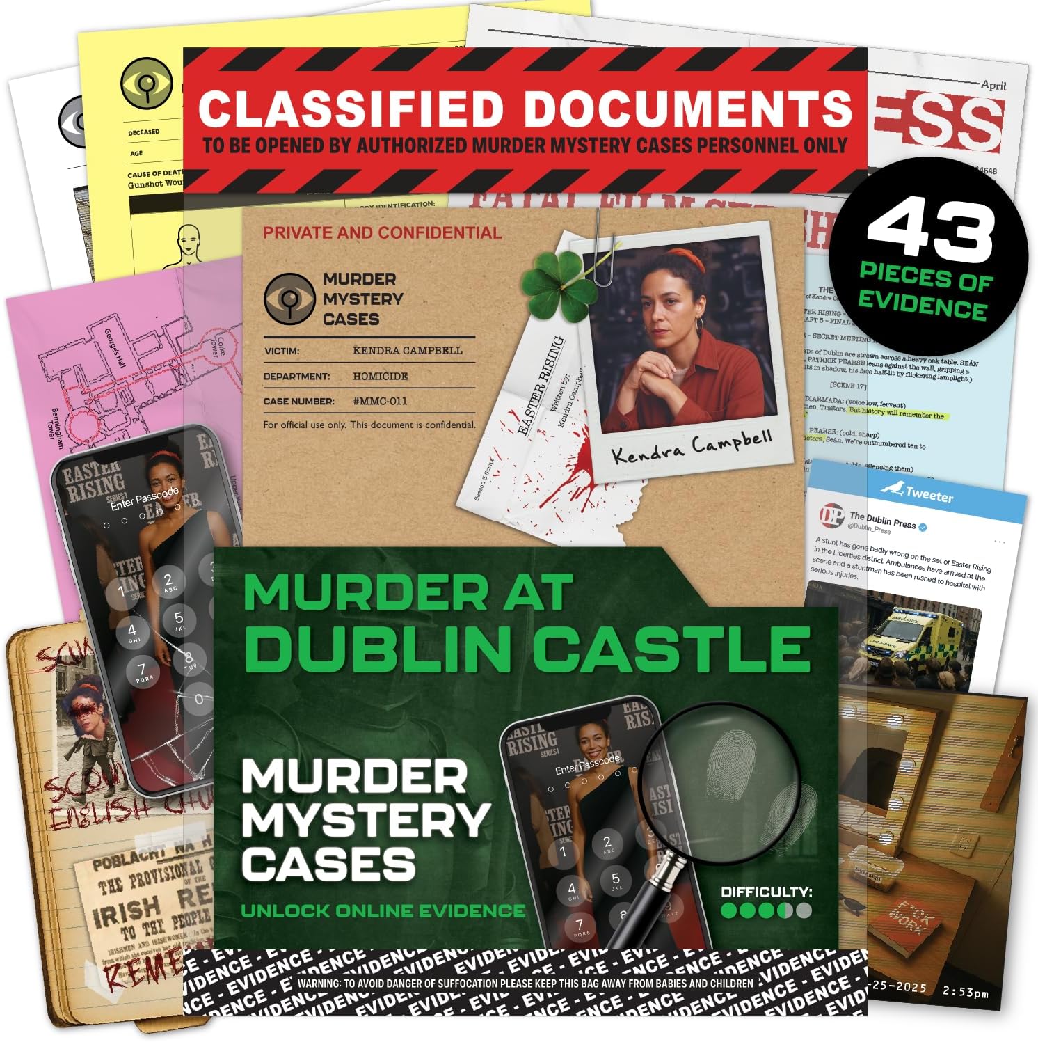 Murder At Dublin Castle