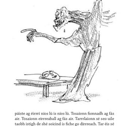 Roald Dahl Na Cailleacha