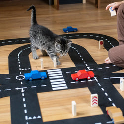 Way to play  King of the Road 2 cars