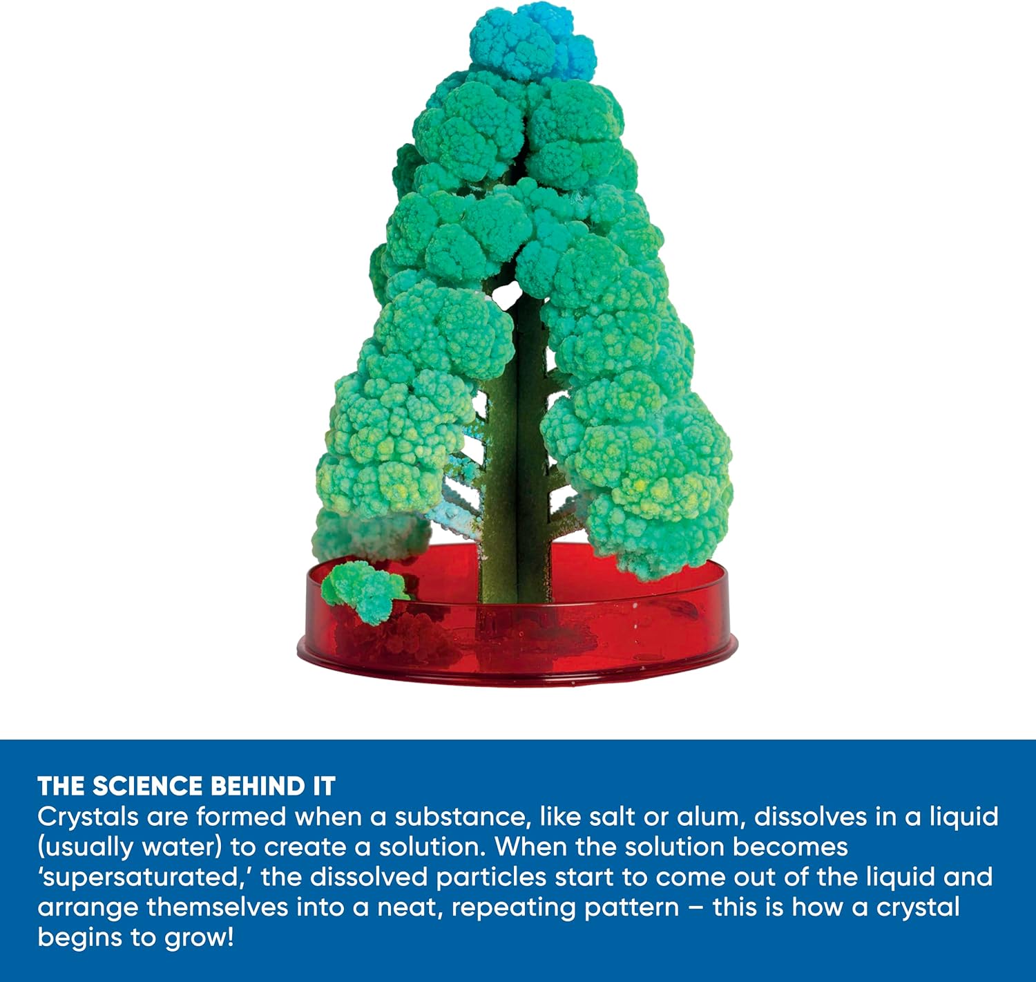 Green cardboard tree in a red base with blossoming turquoise crystals and a science explanation banner below.