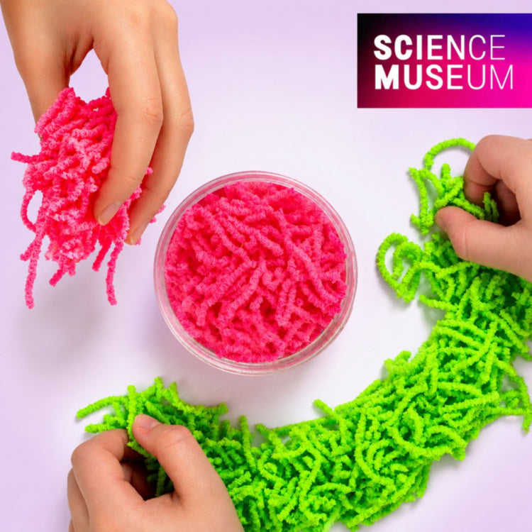 Science Museum Wriggle Worms