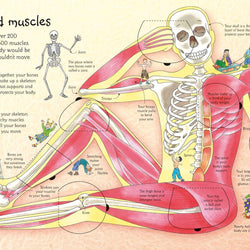 See Inside Your Body