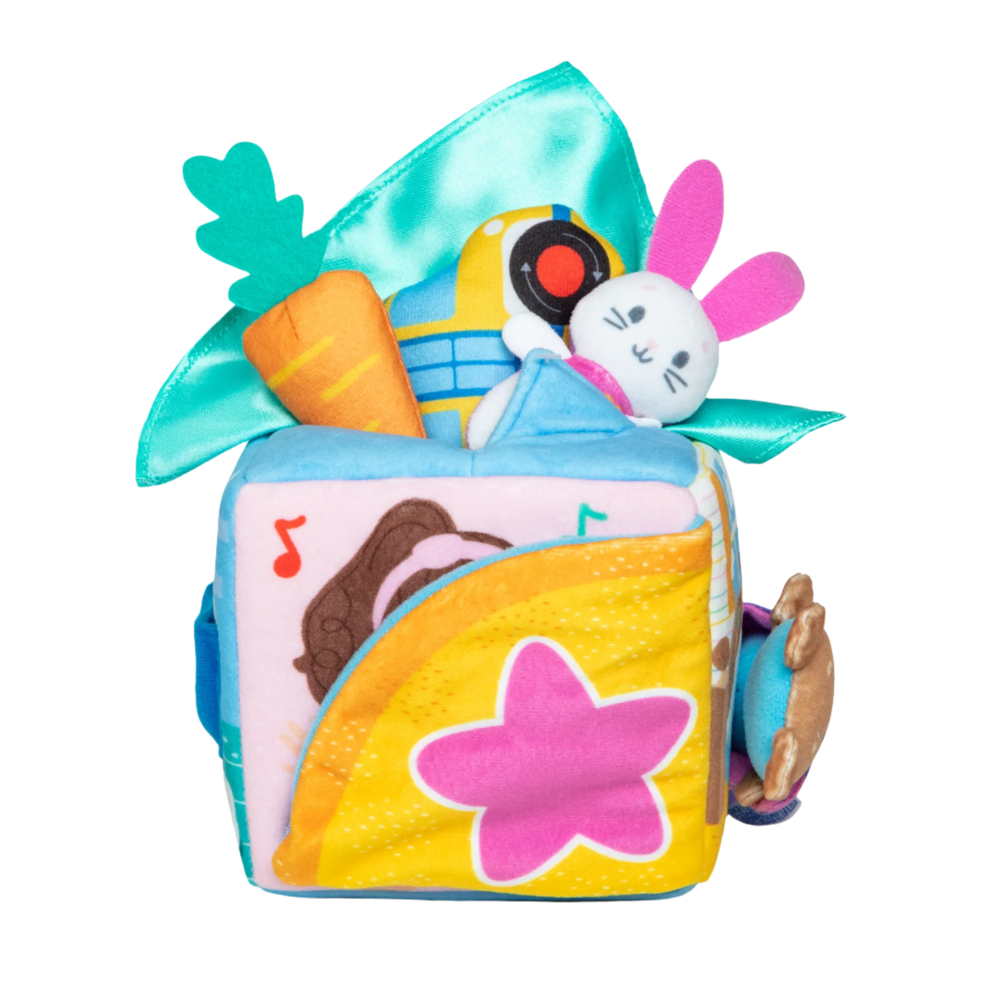 Ms. Rachel Suprise Learning Box