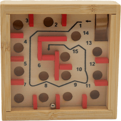 Project Genius The Great Coral Maze