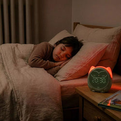Owlie Sleep Trainer Cloud b