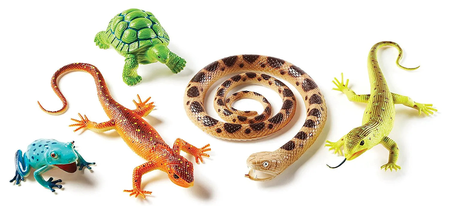 Jumbo Reptiles & Amphibians