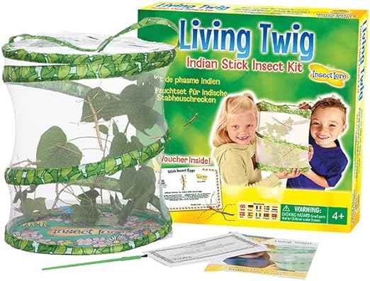 Living Twig Stick Insect Kit (Includes prepaid voucher for stick insect eggs)