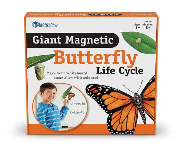 Insect Lore