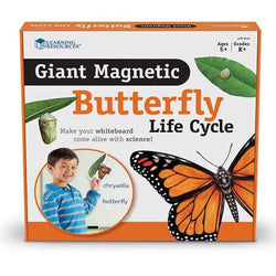 Giant Magnetic Butterfly Life Cycle