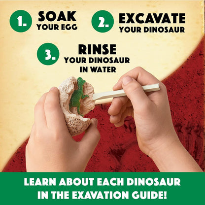 Dig It Up! Dinosaur eggs excavation kit