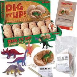 Dig It Up! Dinosaur eggs excavation kit