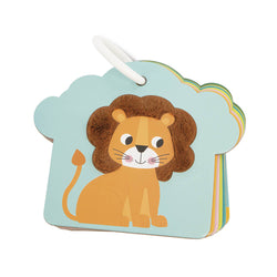 Savannah Tactile Card Set