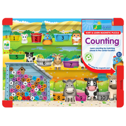 Sort and Learn magnetic puzzle counting
