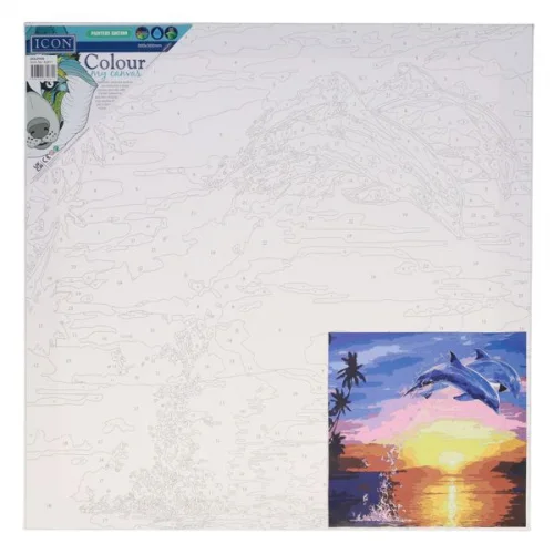 Colour my Canvas - Dolphin