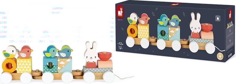 Janod Pure Train Pull-Along Toy