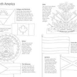 Usborne Book and Jigsaw Flags of the World