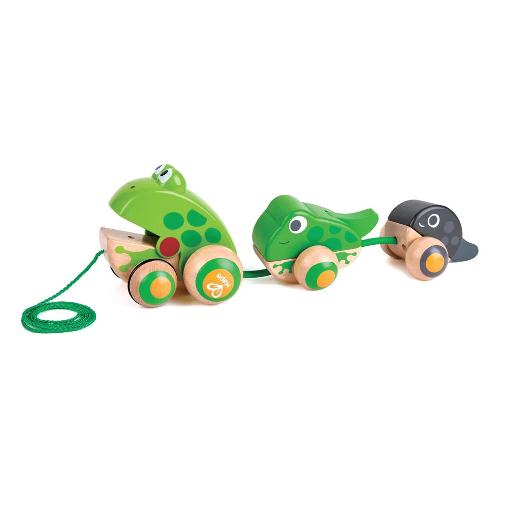 Pull A-Long Frog Family Hape