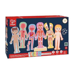 Hape Magnetic Human Body Wooden Puzzle