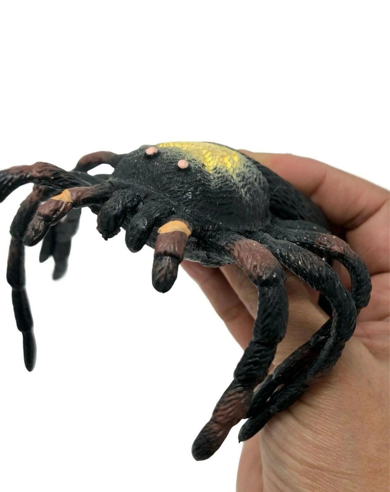 Tarantula Reptile Stretchies