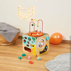Multi-Activity Looping Activity Cube