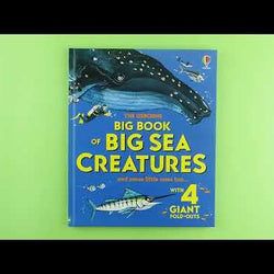 Big Book of Sea Creatures