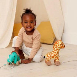 Gina the Pull Along Giraffe