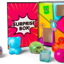 Scrunchems Surprise box