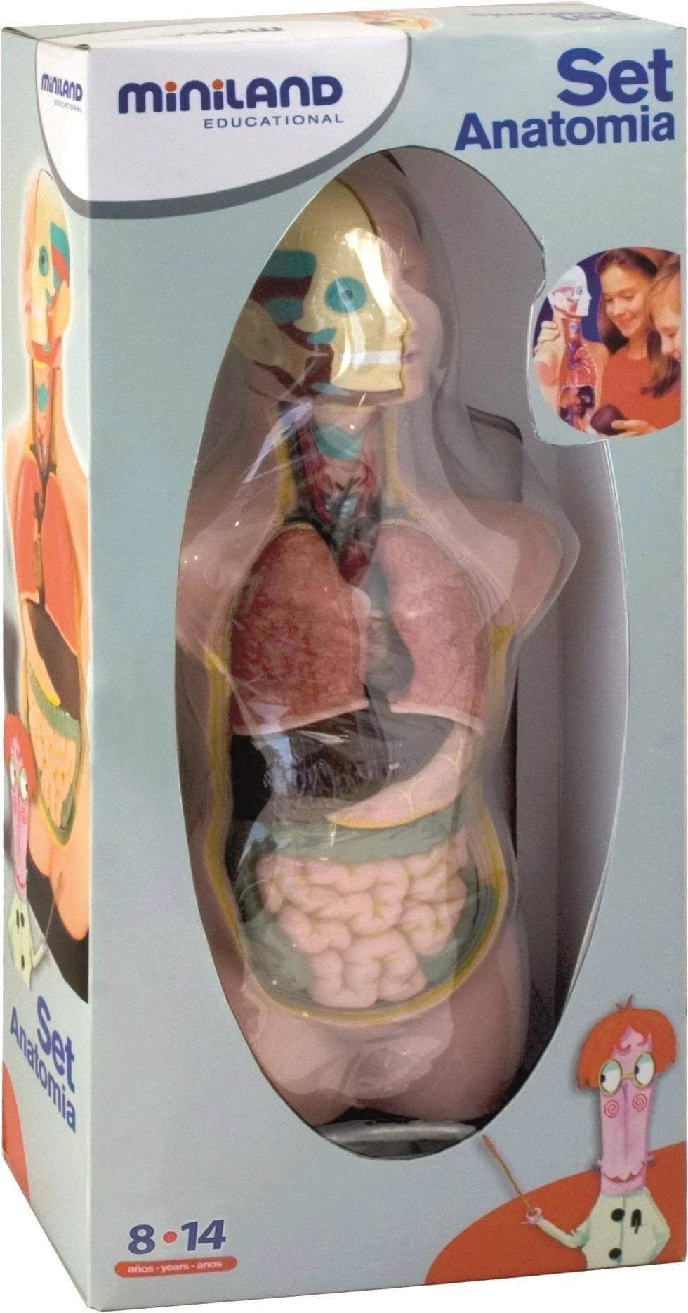 Miniland Anatomy Set in Case - 11 Pieces