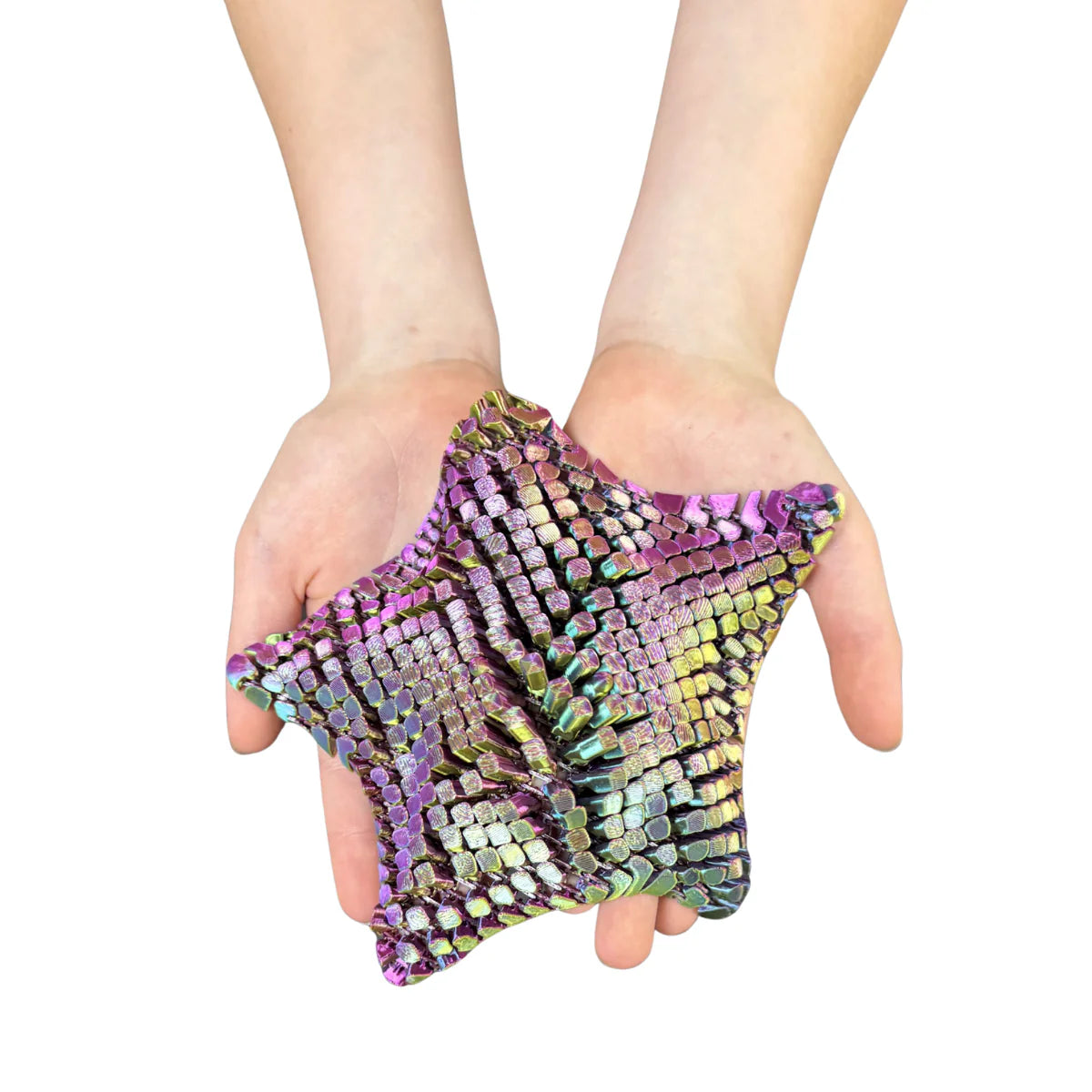 3D Starfish Fidget