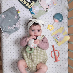 Taf Toys Bedtime Kit