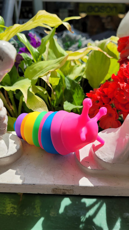 Rainbow Slug Fidget Toy Small