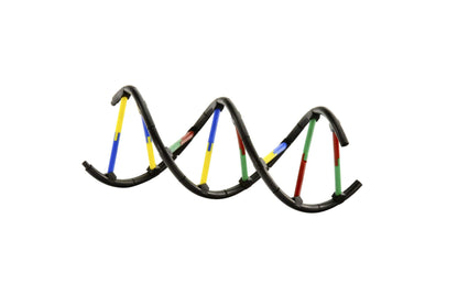 Genetics and DNA Experiment Kit