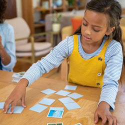 Paw Patrol Mini Memory Game