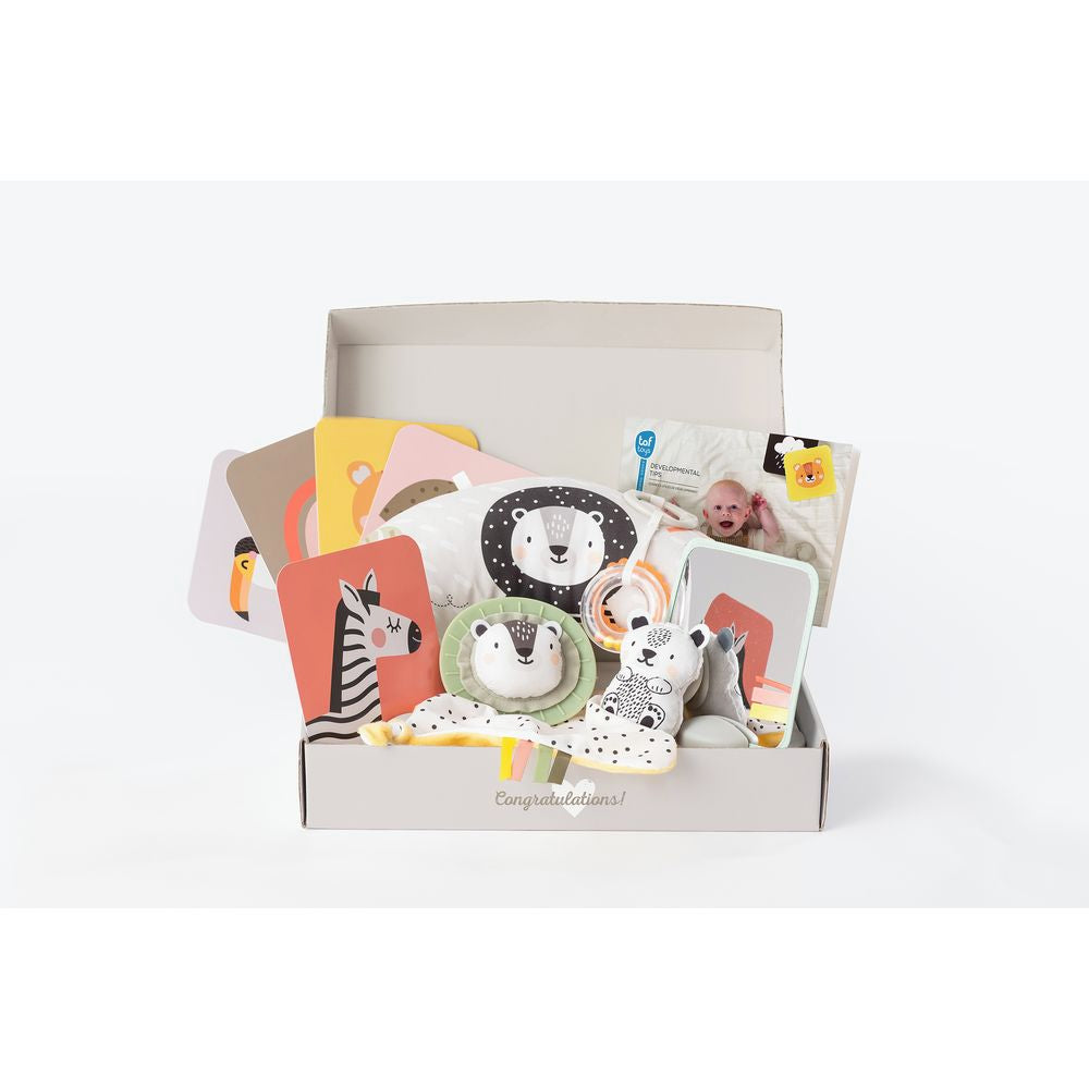 Taf Toys Newborn Develop And Play Gift Set