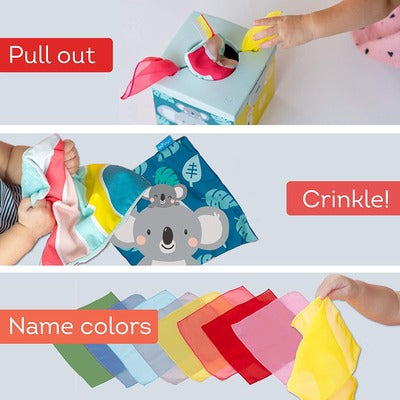 Kimmy Koala Wonder Baby Tissue Box Taf Toys