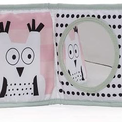 Taf Toys 3 in 1 Baby Book