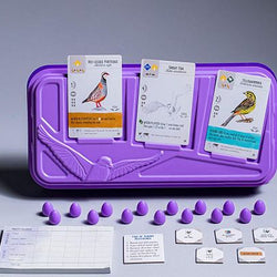 Wingspan - European Expansion