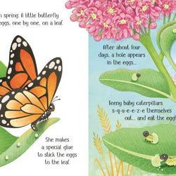 One Little Butterfly Usborne Life Cycles
