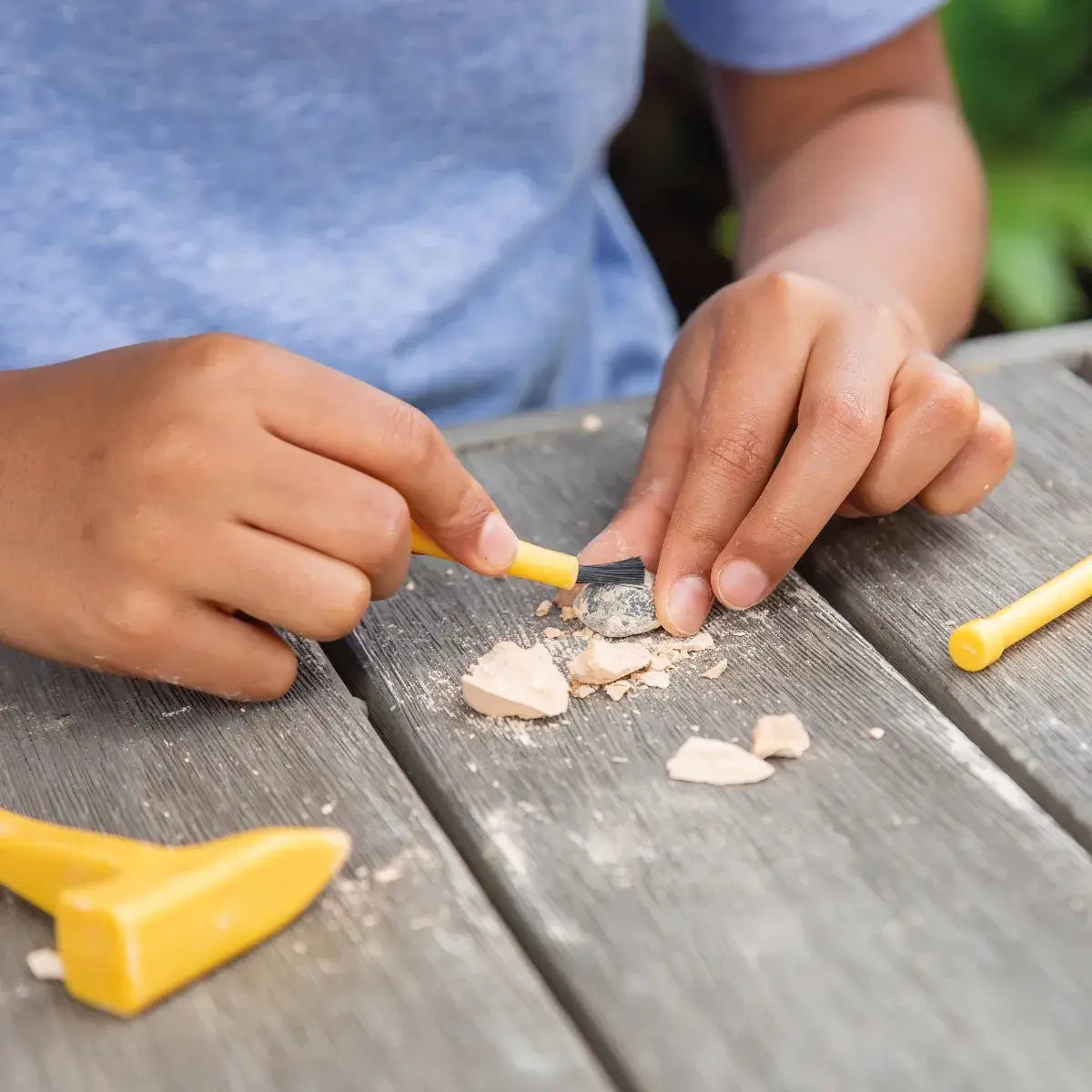 Geosafari® Fossil Excavation Kit